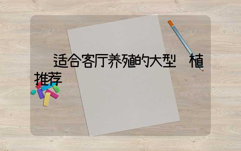  适合客厅养殖的大型绿植推荐